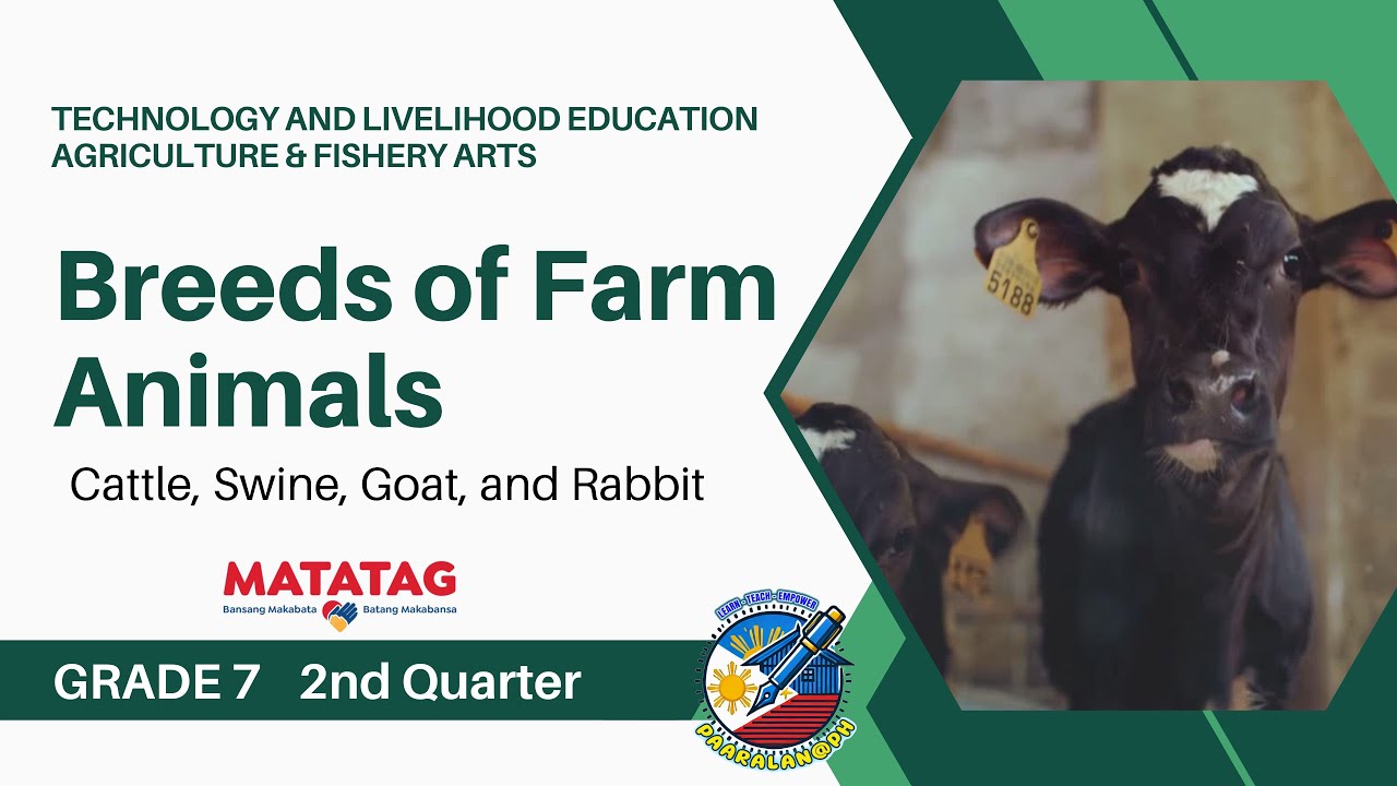 Tle 7 matatag curriculum lesson 2nd qtr breeds of farm animals