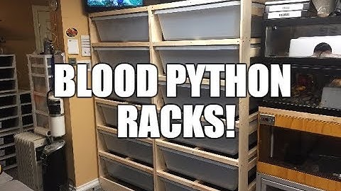 Medium Python Rack Build!