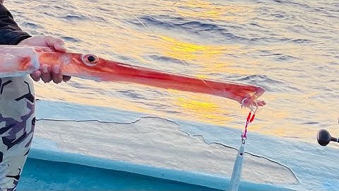 Tập 64: Cuộc chiến cá bè quỵt, Cách buộc jig với Dây-Ring-Lưỡi SUTEKI sắc nhọn chắc chắn hiệu quả