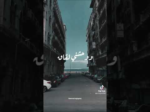فين لياليك روق مزاجك