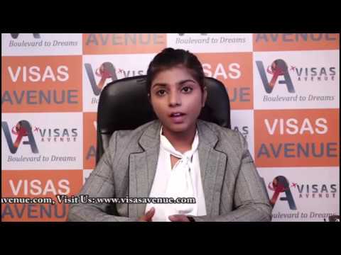 Visas Avenue Employee Reviews | Immigration Consulting Expert