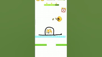 The Cat 😺 Level 16🐝