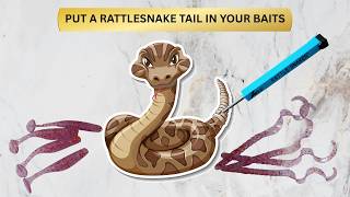 Put A Rattlesnake In Your Plastic Baits | Worms | Paddle Tails | 2 Methods I Use