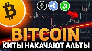 Биткоин Киты Накачают Альткоины! Рост Ethereum, Bitcoin Cash и Ripple Ноябрь 2018 Прогноз Биткоин Киты Накачают Альткоины! Рост Ethereum, Bitcoin Cash и Ripple Ноябрь 2018 Прогноз