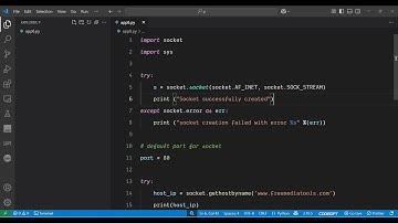 Python 3 Socket Programming to Find IP Address of Website Domain in Terminal