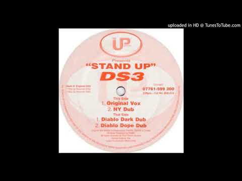 DS3 — DS3 - Stand Up (Original Mix)