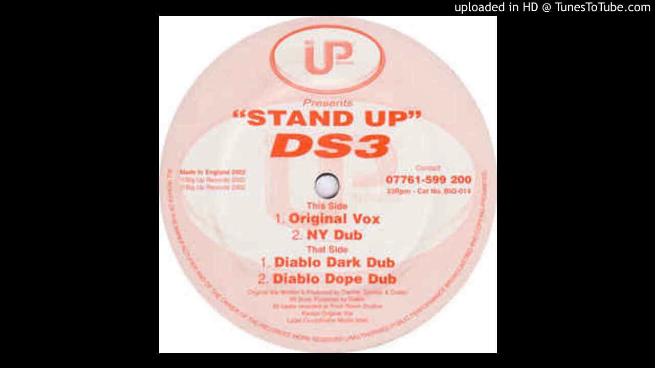 DS3 - Stand Up (Original Mix)