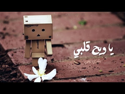 يا ويح قلبي بشرى يحيى