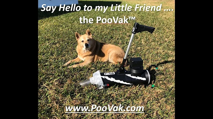 poovak2 exp3