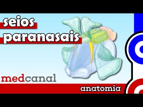 Vídeo: Anatomia, Função E Diagrama Do Seio Etmoidal - Mapas Do Corpo