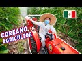 SIENDO AGRICULTOR POR UN DÍA