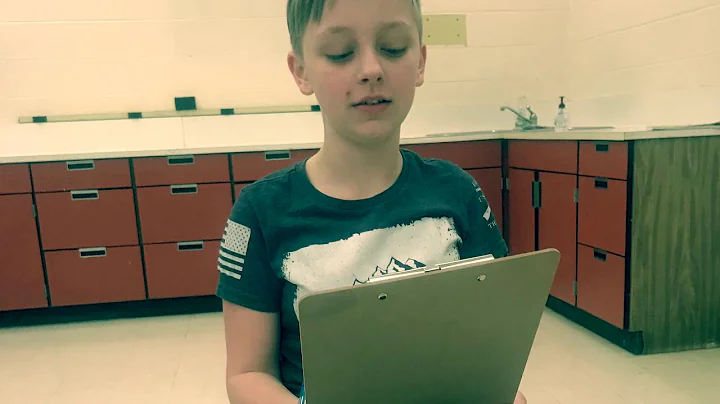 BIS Youth Environmental Action Summit