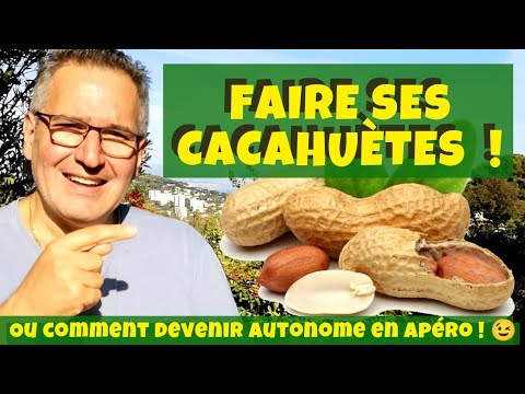 Vidéo: Variétés de cacahuètes espagnoles - Comment faire pousser des cacahuètes espagnoles dans le jardin