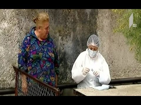 კარანტინის მეოთხე დღე ბოლნისში