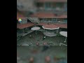 موسيقى مسلسل  علي رضا القتال والتشويق        