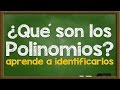 ¿Qué son los Polinomios? | Aprende a identificarlos