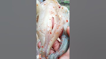 Khô cá lóc non hôm nay xuống giàn ngon quá cả nhà ơi #food