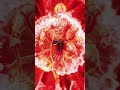 Jay Shree Ram Status ! Bajrang Bali Status ! Hanuman Status ! #bajrangbali​ #hanuman​ #ram​ #shorts🚩