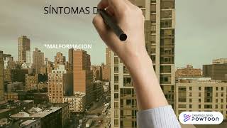 Trabajo Síndrome De Patau- Ucebol