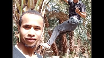 أيات بينات من أوائل سورة الإسراء،صلاة العشاء بصوت القارئ عمر بولجواهل.