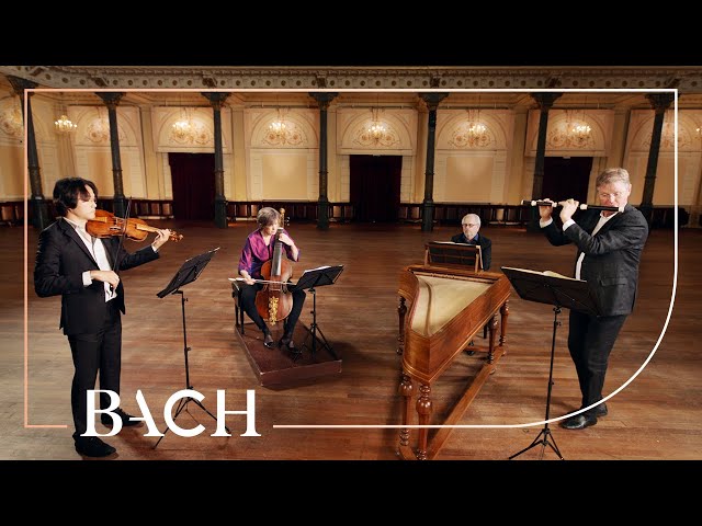 Bach - Trio Sonata from The Musical Offering BWV 1079 | Netherlands Bach Society class=