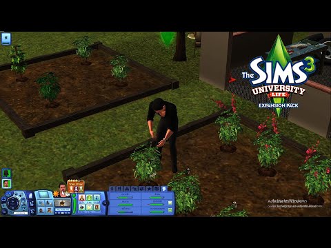 The Sim3 : How to ปลูกผัก ปลูกพืชหายาก