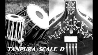 Video thumbnail of "TANPURA SCALE D"