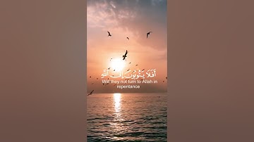 قرآن كريم 🌿تلاوة من سورة المائدة 🌿القارئ عبد الرحمن مسعد