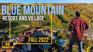 Escape to Blue Mountain: One-Day Fall Getaway