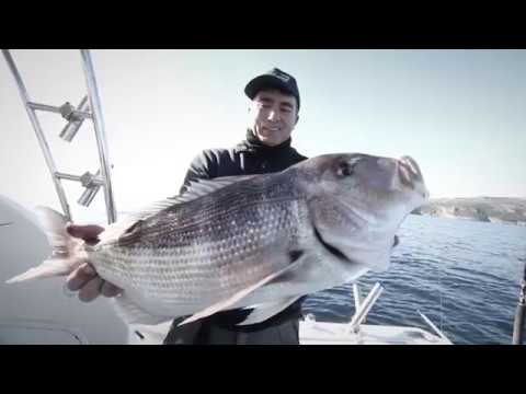 Qui come si fa – Traina Light in Cilento (Italcanna)