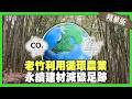 老竹利用循環農業！永續建材減碳足跡！【精華版】