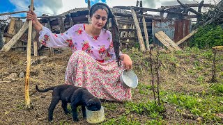 IRAN nomadic life | daily routine village life of Iran | Nomadic lifestyle of Iran