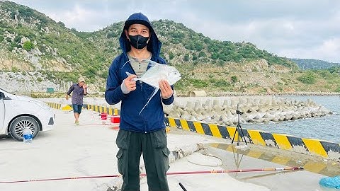 Câu cá bè băng rường - Cảng Cà Ná 🐟🐟🐟#caucagiaitri #cauca #câucábiển