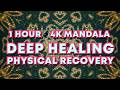 1 Hour Deep Healing ✧ Cellular Repair &amp; Vitality | 4K Restorative Kaleidoscope