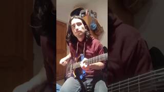 Toto - You Are The Flower guitar solo by Felipe Valdés #toto #youaretheflower #stevelukather #shorts