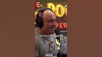 Why Bees Never Sting Her? | #joerogan #jre #bees