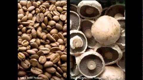 Michael Pawlyn: Using nature