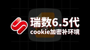 【瑞数全版本讲解】最新瑞数6.5实战（js逆向/web逆向）