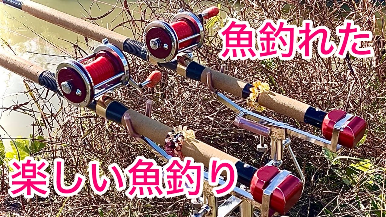 【鯉釣り】釣れたあと動画長過ぎる【正義の両軸】PENN SQUIDDER No.140  鯉スペシャル