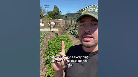 My secret weapon for starting seeds..