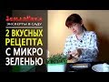 Это самые вкусные рецепты из микрозелени. Пальчики оближешь!