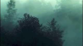 Wild Life Lyrics | Jack & Jack