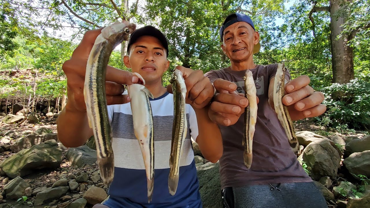 Pescando Cuatro ojos grandes para el caldo levanta muerto