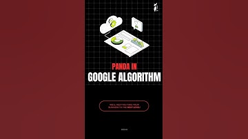 Google Panda Algorithm Explained in 30 Seconds | Boost Your SEO Fast!