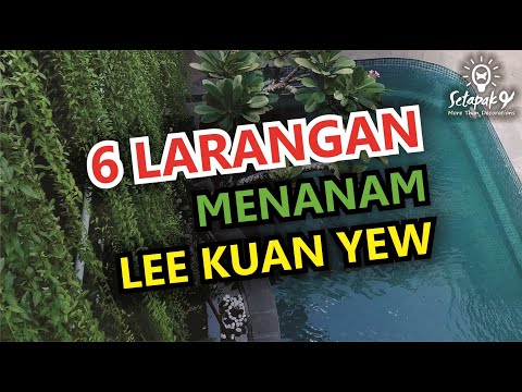 Video: Berry yew: menanam dan merawat