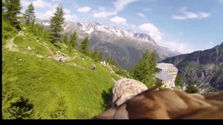 Eagle One Live Stream