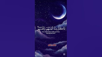 «آوٌلَمً يَروٌآ آنِآ نِسِوٌقُ آلَمًآء» سورة السجدة #قران_كريم #ارح_قلبك #راحة_نفسية