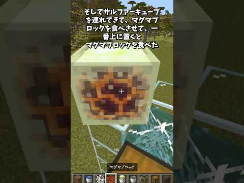 サルファーキューブを使ったトラップ！？ #shorts  #マインクラフト #minecraft