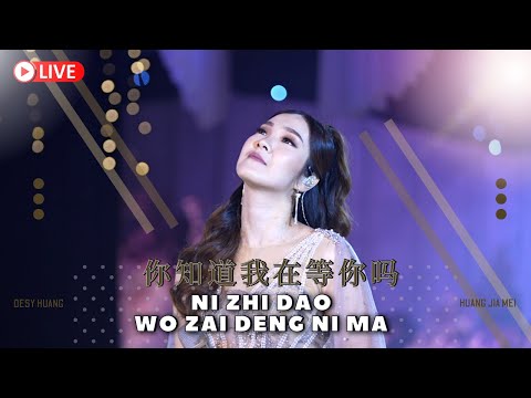 Ni Zhi Dao Wo Zai Deng Ni Ma 《你知道我在等你吗》Desy Huang 黄家美