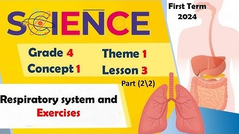 Respiratory System and exercises | Grade 4 | Unit 1 - Concept 1 - Lesson 3 - Part (2/2) Diaphragm